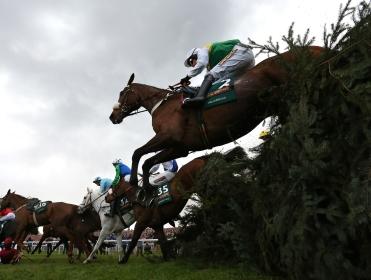 Tidal Bay heads the 65 remaining in the Grand National